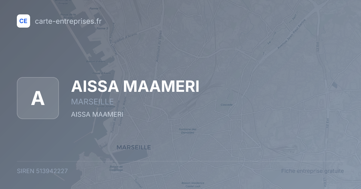 AISSA MAAMERI — 513942227 — fiche entreprise