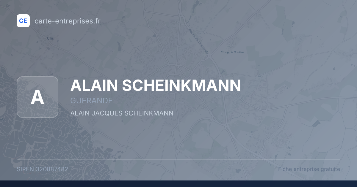 ALAIN SCHEINKMANN — 320887482 — fiche entreprise