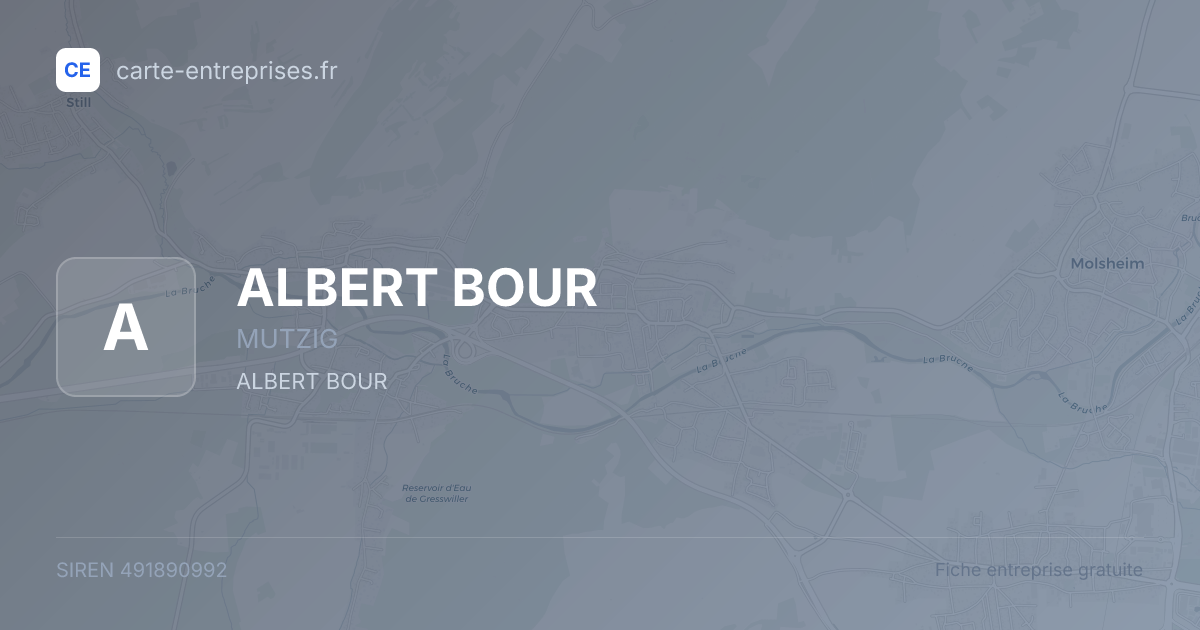 ALBERT BOUR — 491890992 — fiche entreprise
