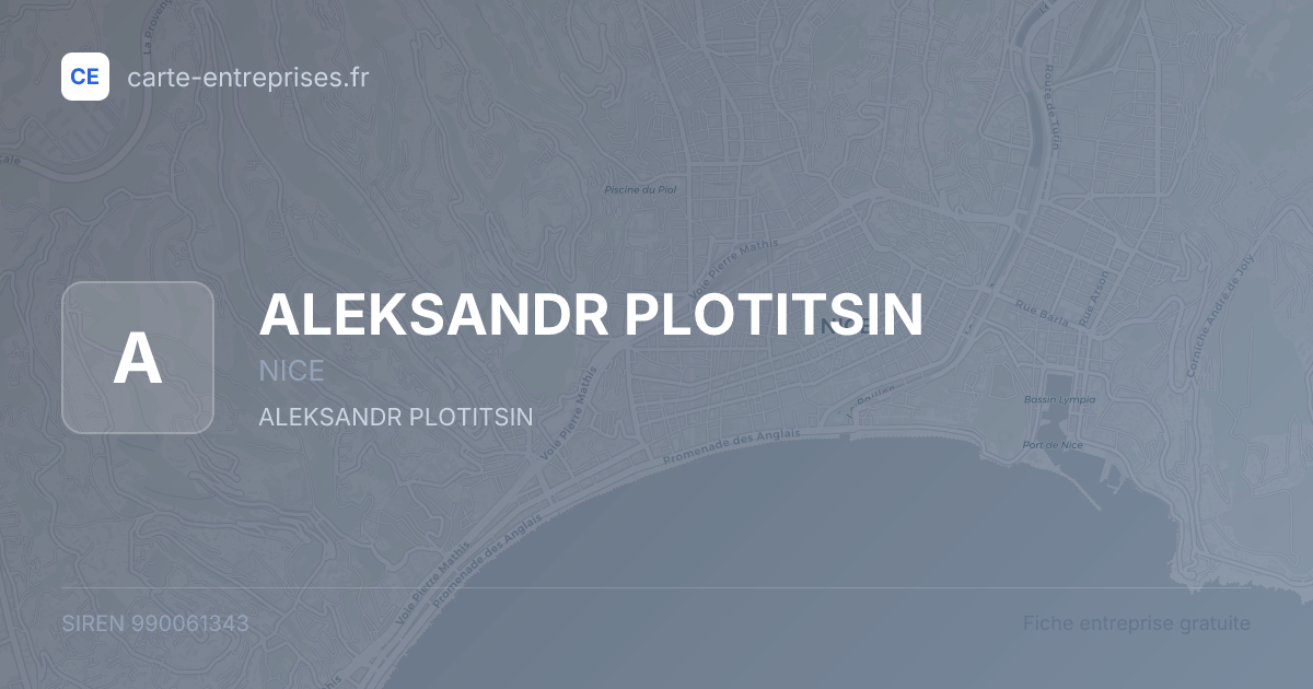 ALEKSANDR PLOTITSIN — 990061343 — fiche entreprise