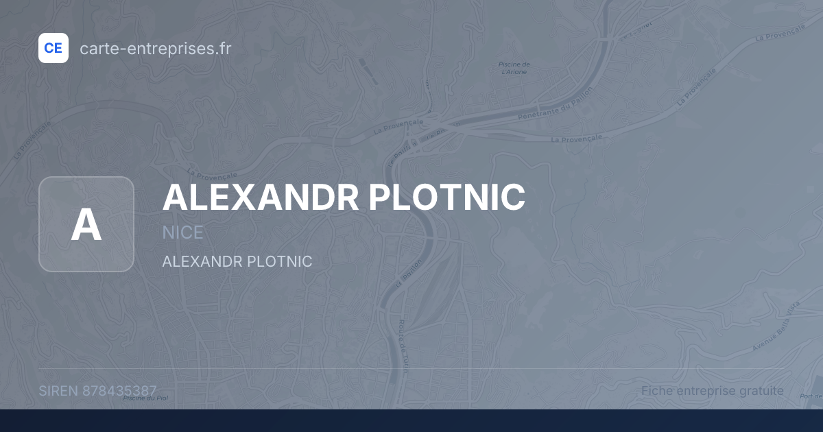 ALEXANDR PLOTNIC — 878435387 — fiche entreprise