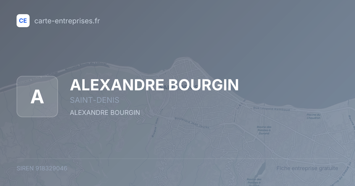 ALEXANDRE BOURGIN — 918329046 — fiche entreprise