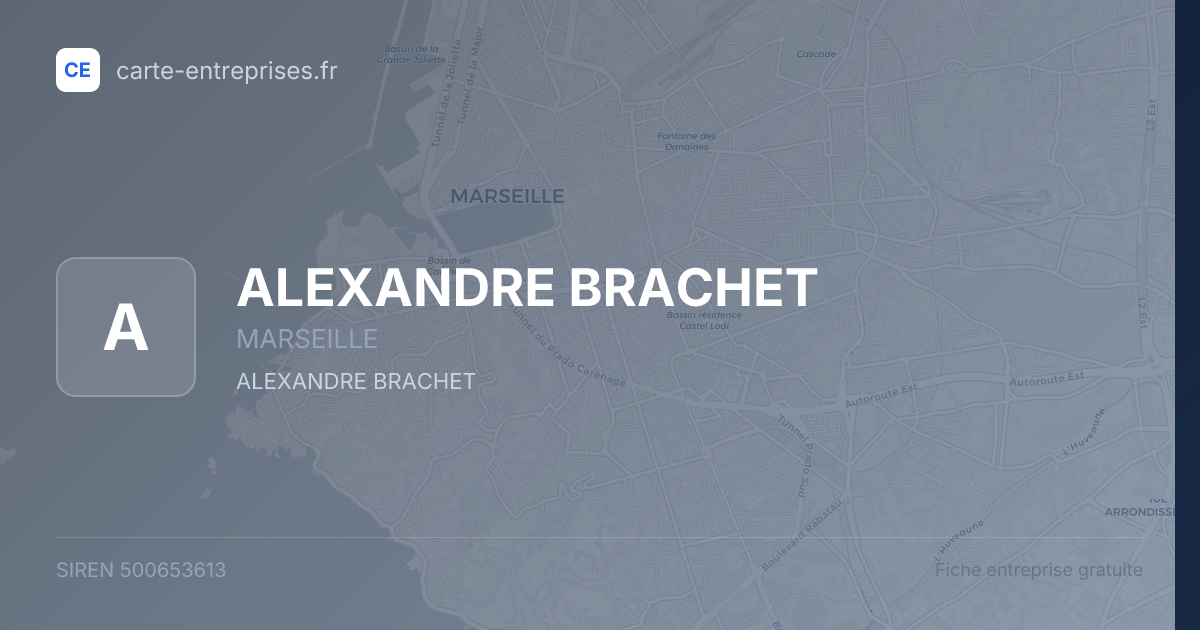 ALEXANDRE BRACHET — 500653613 — fiche entreprise