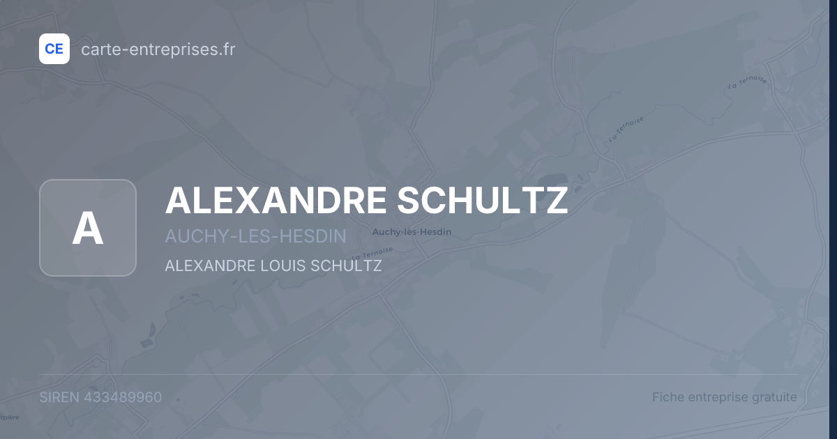 ALEXANDRE SCHULTZ — 433489960 — fiche entreprise