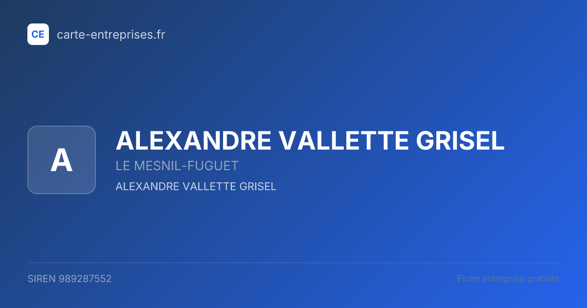 ALEXANDRE VALLETTE GRISEL — 989287552 — fiche entreprise