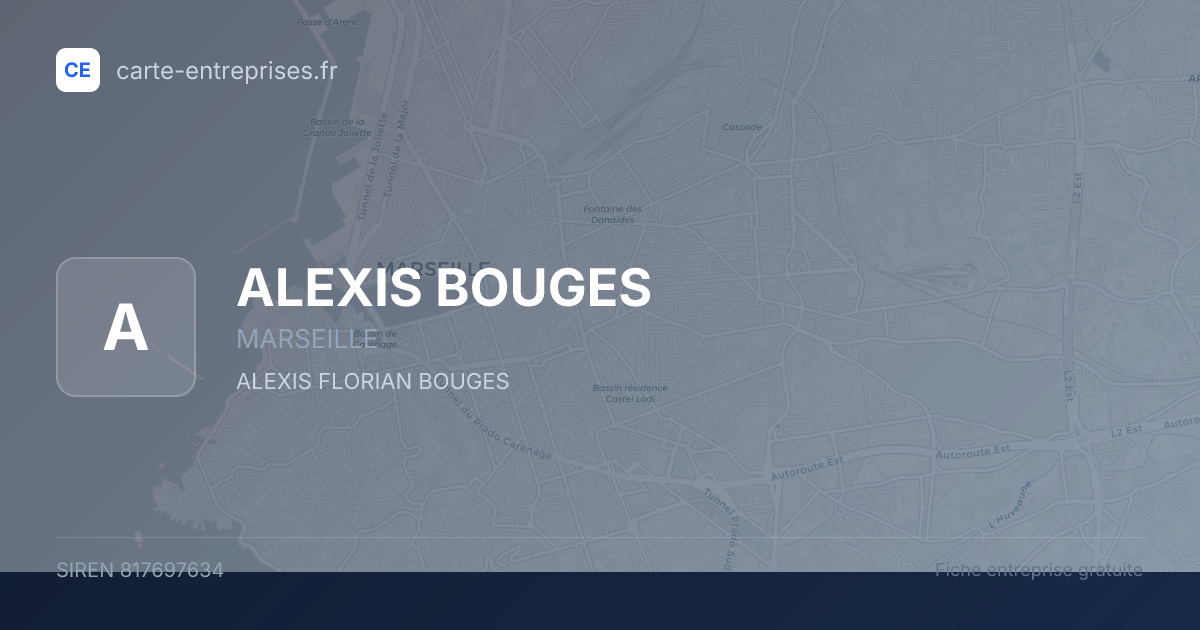 ALEXIS BOUGES — 817697634 — fiche entreprise