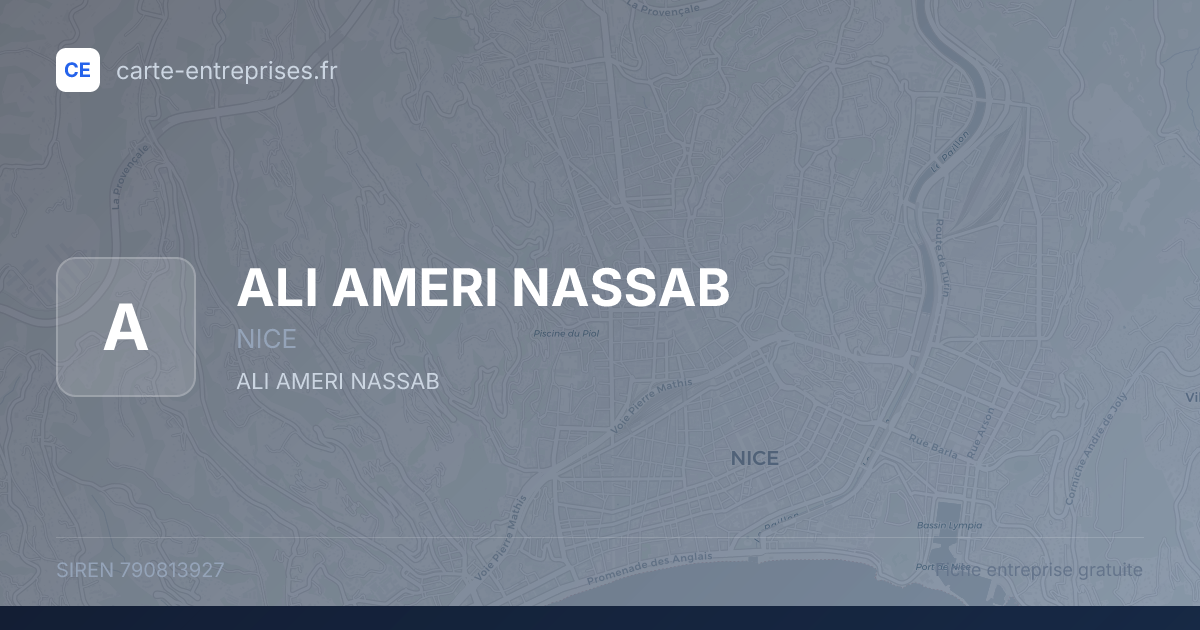 ALI AMERI NASSAB — 790813927 — fiche entreprise