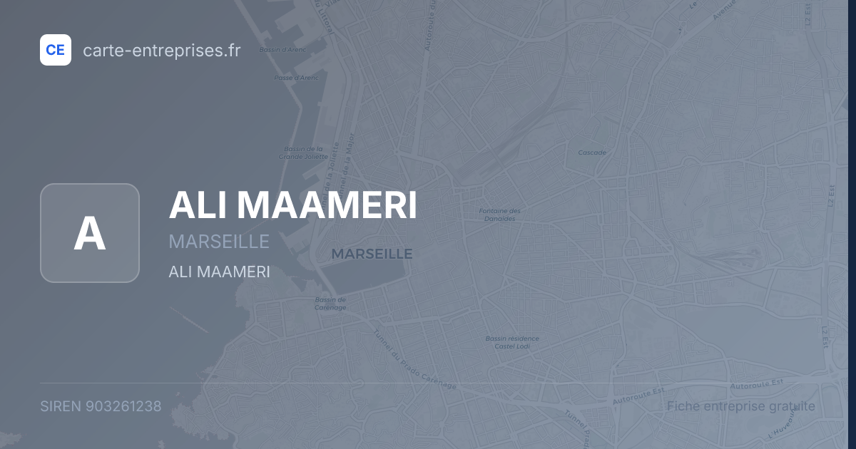 ALI MAAMERI — 903261238 — fiche entreprise