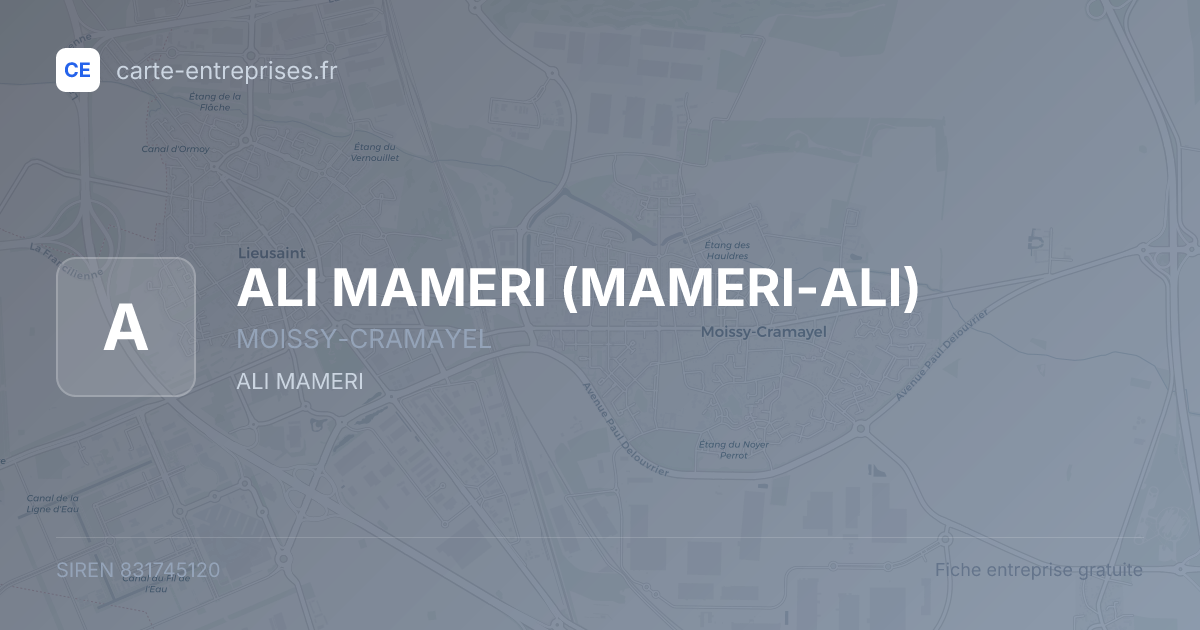 ALI MAMERI (MAMERI-ALI) — 831745120 — fiche entreprise