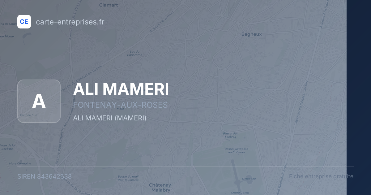 ALI MAMERI — 843642638 — fiche entreprise
