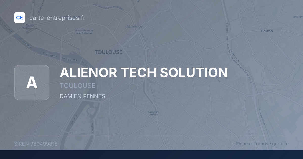 ALIENOR TECH SOLUTION — 980499818 — fiche entreprise