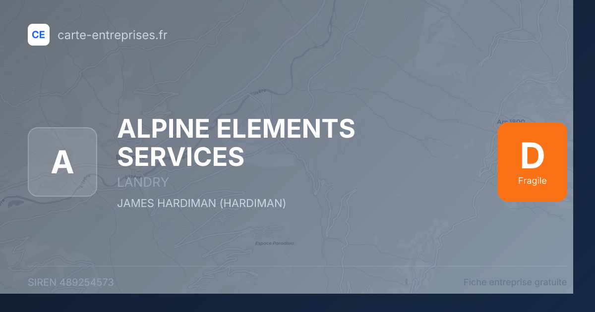 ALPINE ELEMENTS SERVICES — 489254573 — fiche entreprise