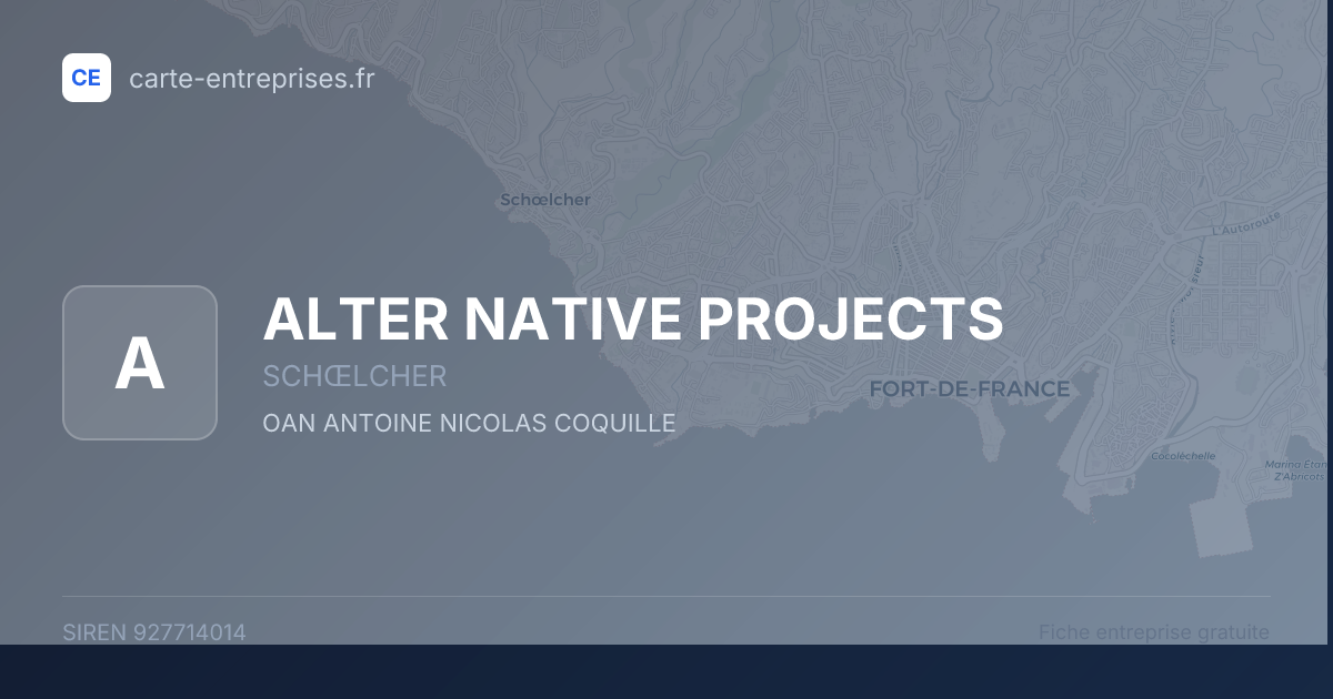ALTER NATIVE PROJECTS — 927714014 — fiche entreprise