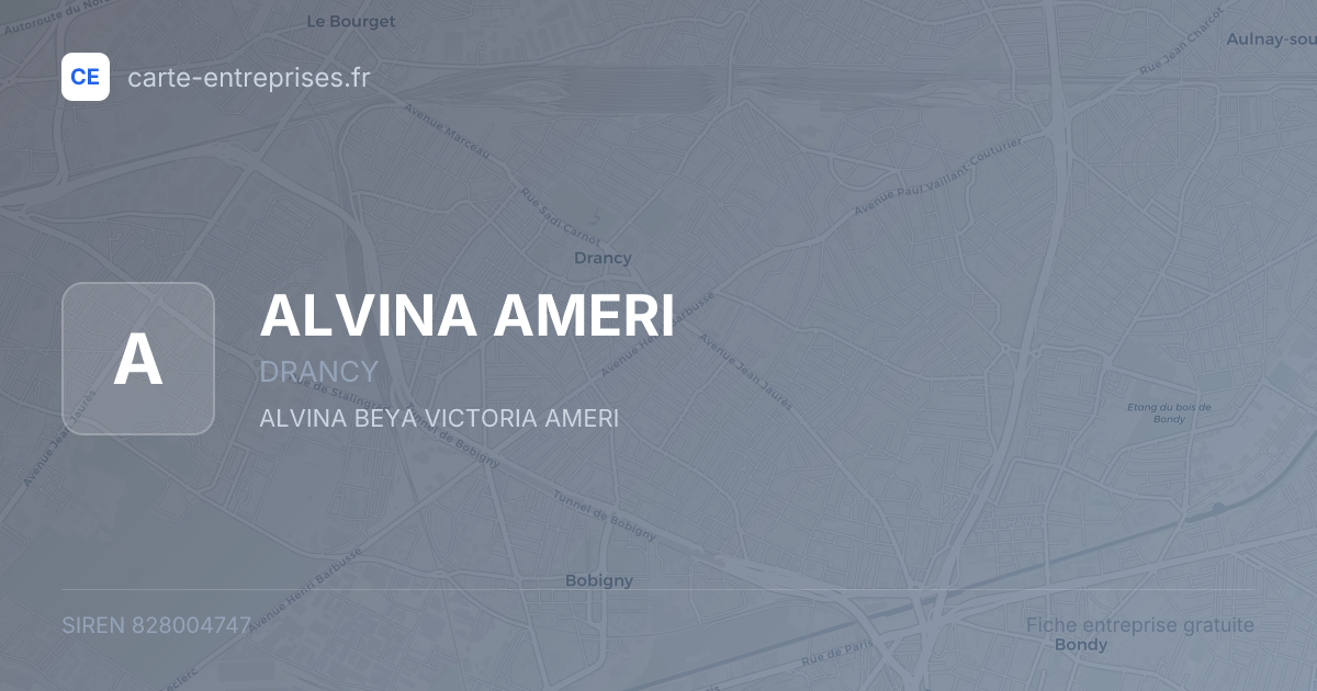 ALVINA AMERI — 828004747 — fiche entreprise