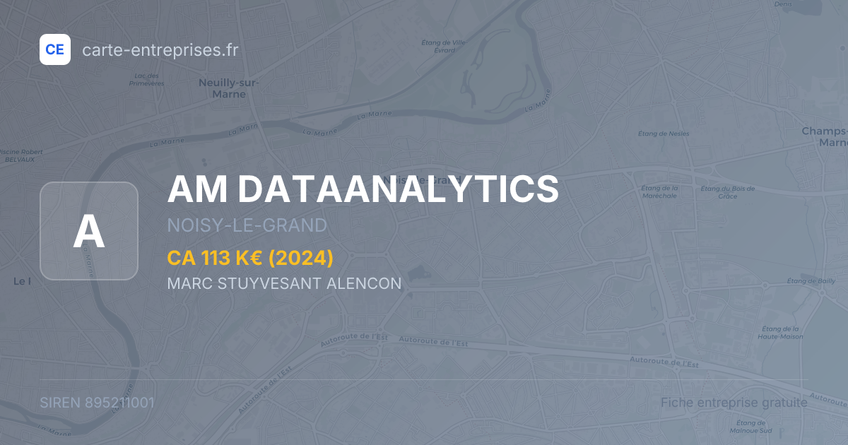 AM DATAANALYTICS — 895211001 — fiche entreprise