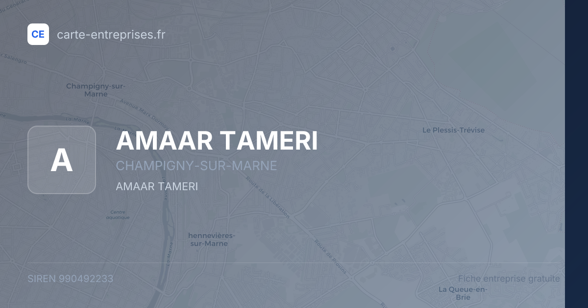AMAAR TAMERI — 990492233 — fiche entreprise