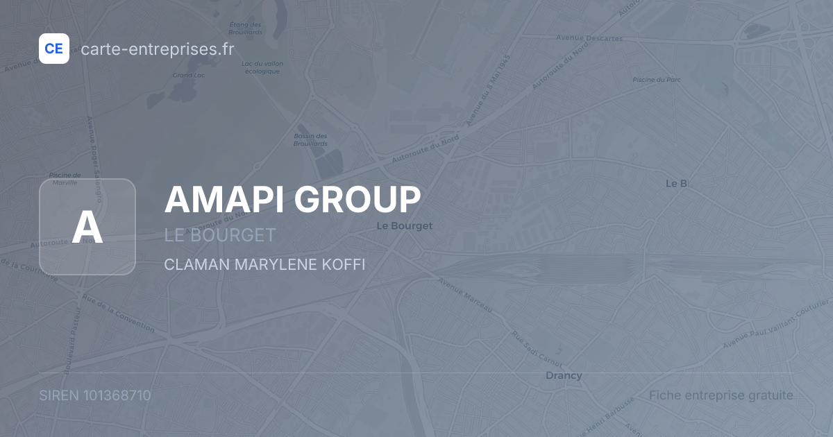 AMAPI GROUP — 101368710 — fiche entreprise