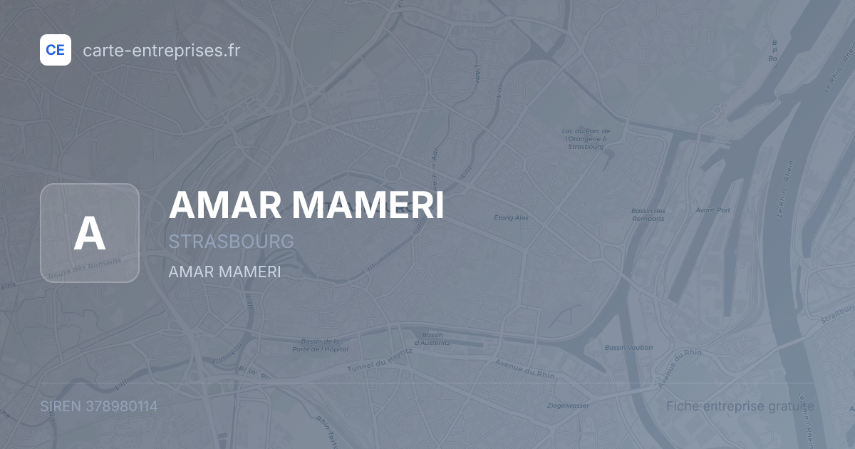 AMAR MAMERI — 378980114 — fiche entreprise