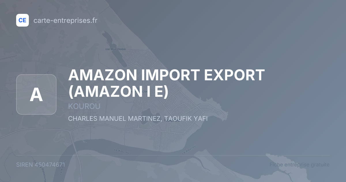 AMAZON IMPORT EXPORT (AMAZON I E) — 450474671 — fiche entreprise