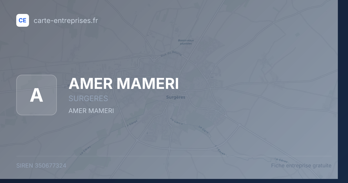 AMER MAMERI — 350677324 — fiche entreprise