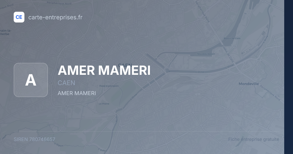 AMER MAMERI — 780746657 — fiche entreprise