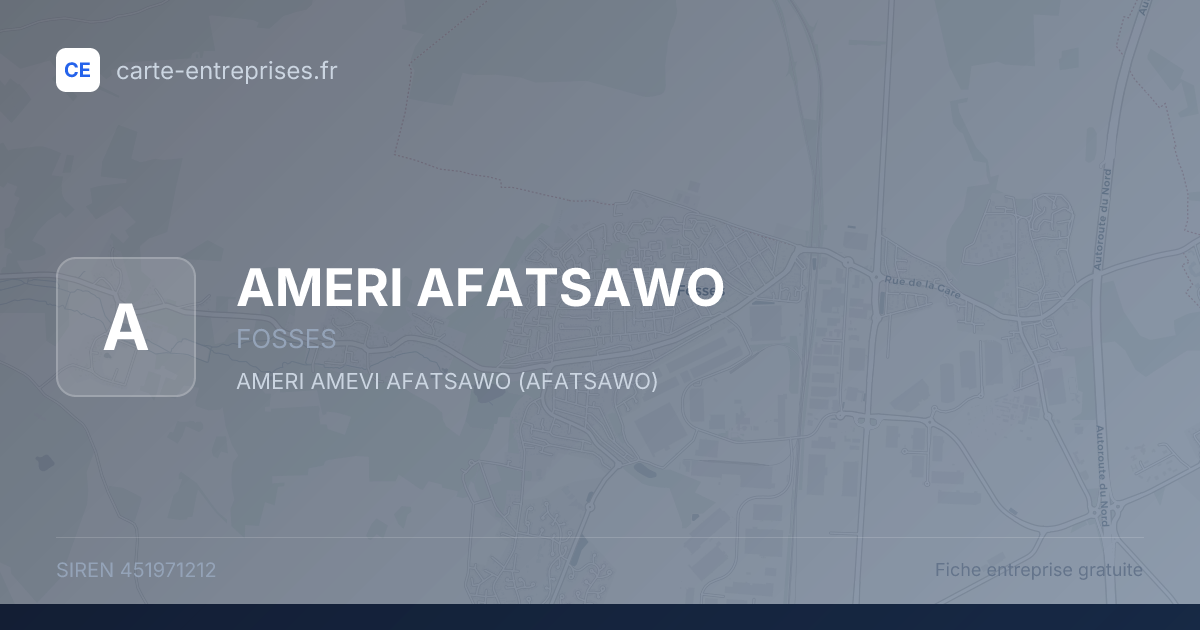 AMERI AFATSAWO — 451971212 — fiche entreprise