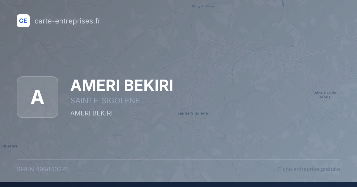 AMERI BEKIRI — 499840270 — fiche entreprise