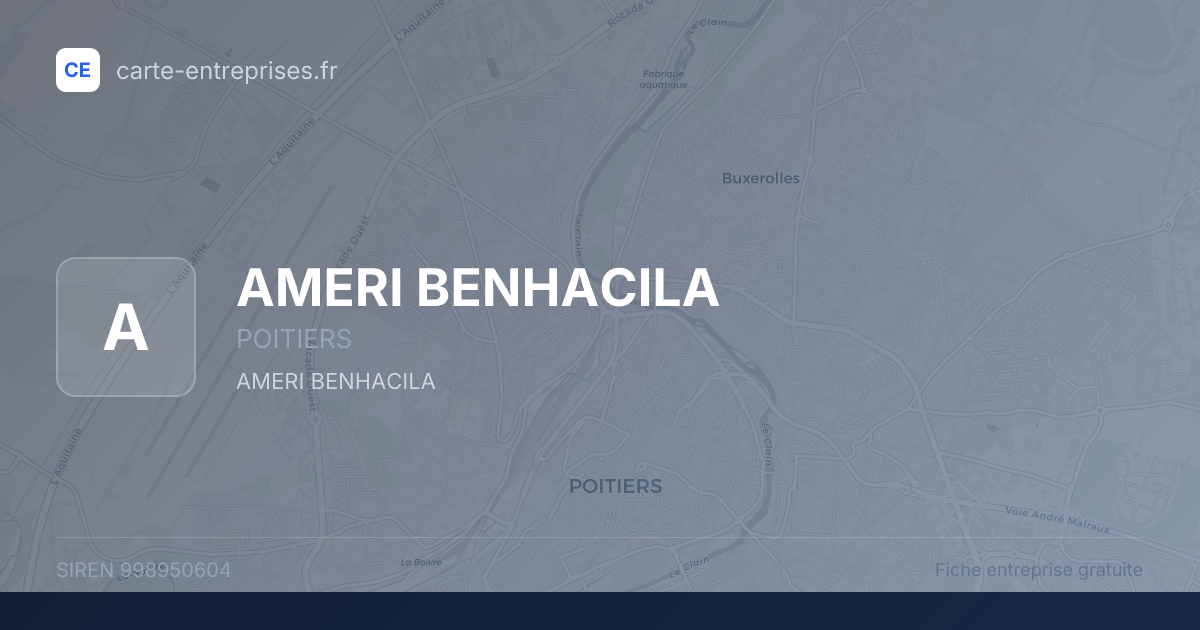 AMERI BENHACILA — 998950604 — fiche entreprise