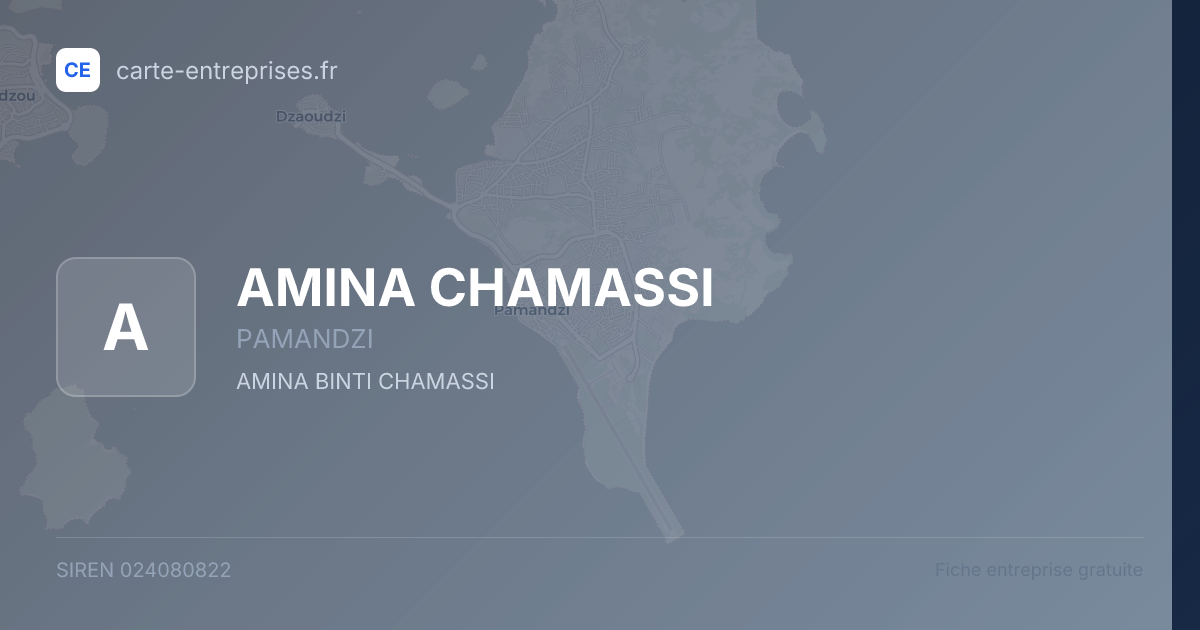AMINA CHAMASSI — 024080822 — fiche entreprise