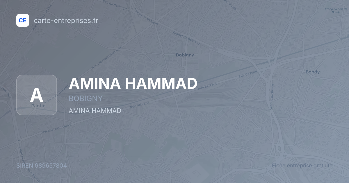 AMINA HAMMAD — 989657804 — fiche entreprise