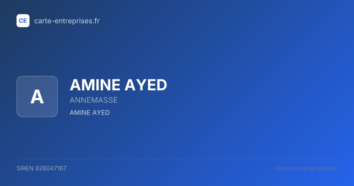AMINE AYED — 828047167 — fiche entreprise
