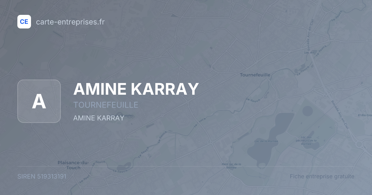 AMINE KARRAY — 519313191 — fiche entreprise
