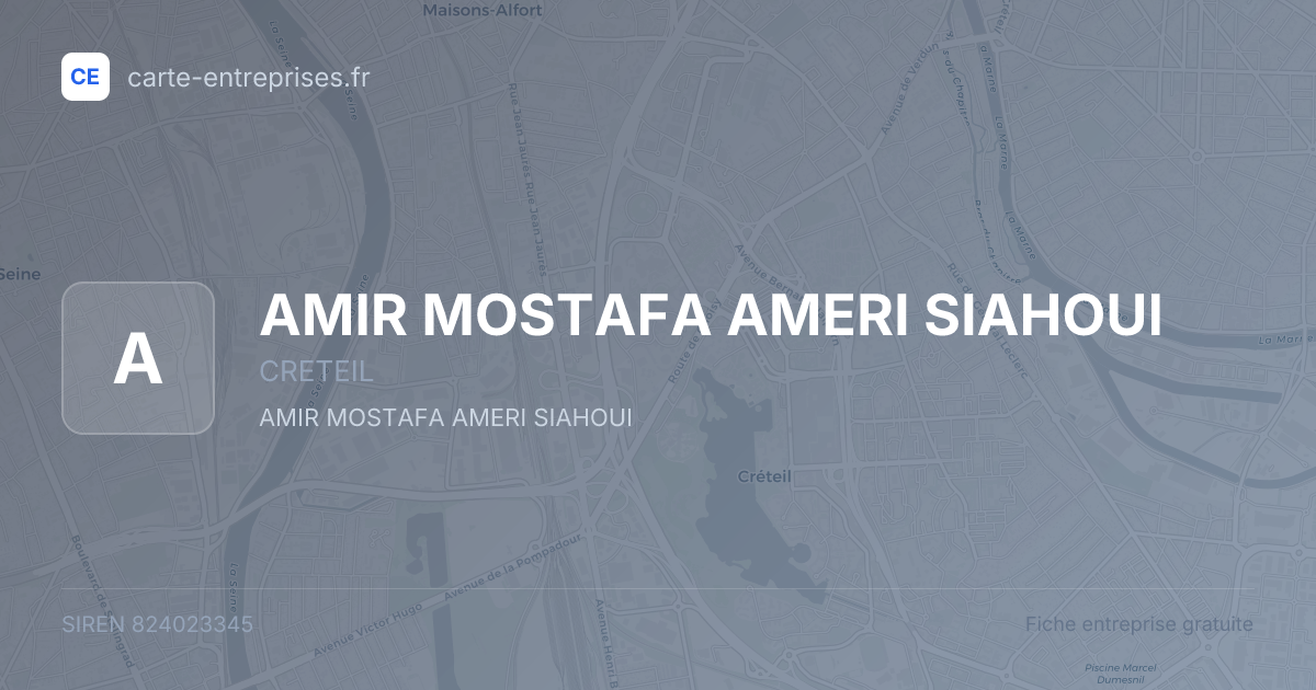 AMIR MOSTAFA AMERI SIAHOUI — 824023345 — fiche entreprise