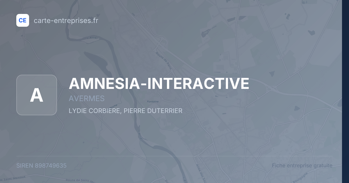 AMNESIA-INTERACTIVE — 898749635 — fiche entreprise