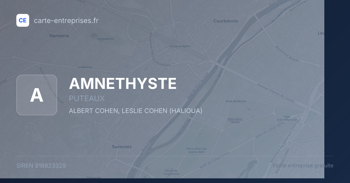 AMNETHYSTE — 918823329 — fiche entreprise