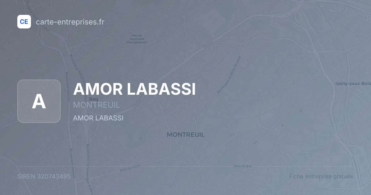 AMOR LABASSI — 320743495 — fiche entreprise