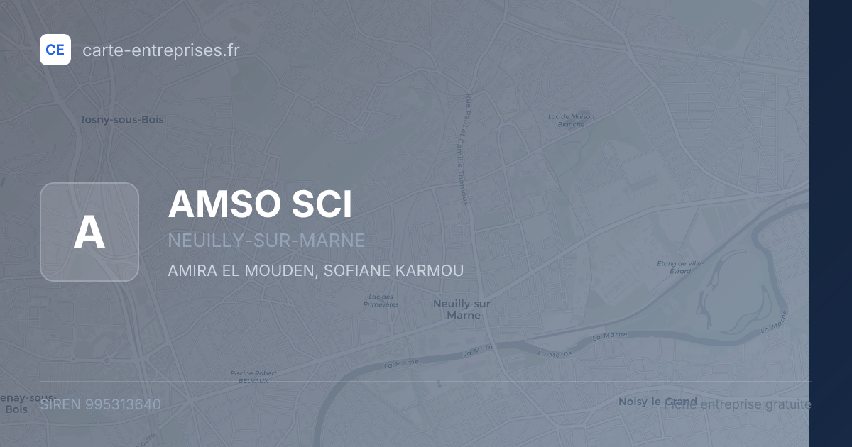 AMSO SCI — 995313640 — fiche entreprise