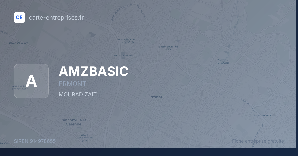 AMZBASIC — 914978655 — fiche entreprise