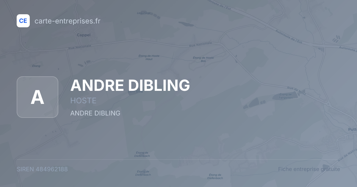 ANDRE DIBLING — 484962188 — fiche entreprise