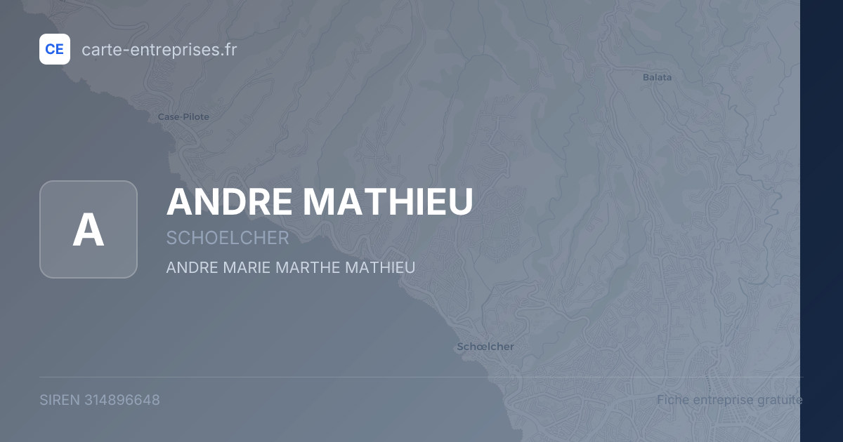 ANDRE MATHIEU — 314896648 — fiche entreprise