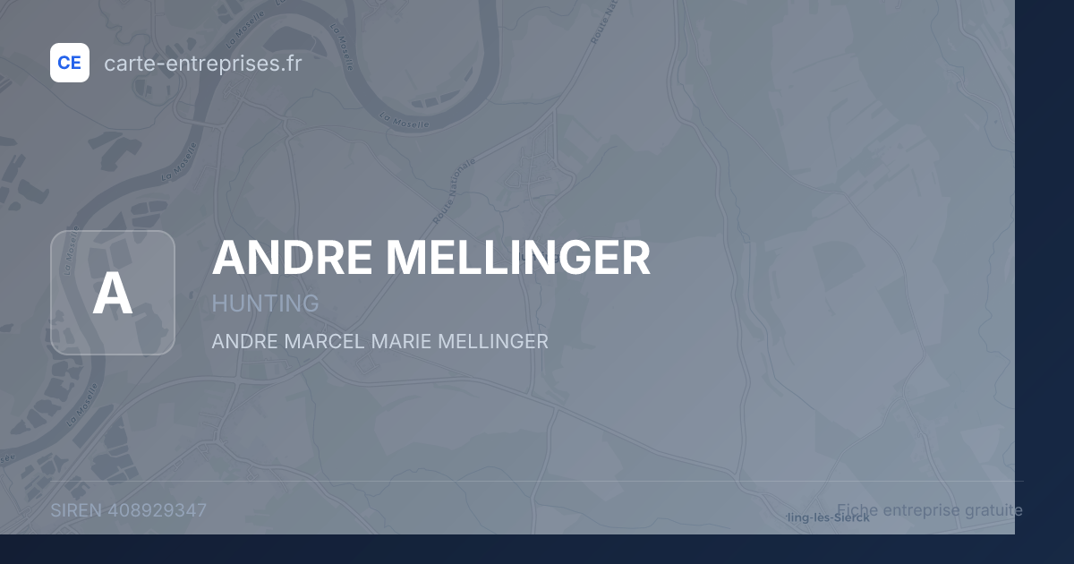 ANDRE MELLINGER — 408929347 — fiche entreprise