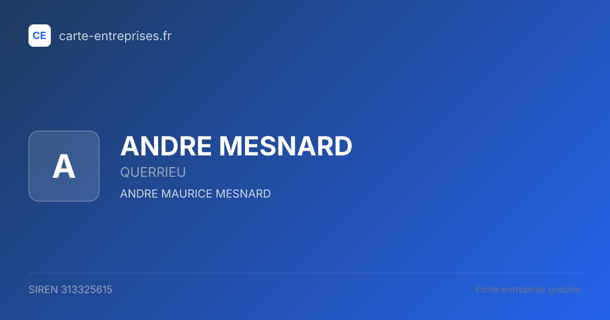 ANDRE MESNARD — 313325615 — fiche entreprise