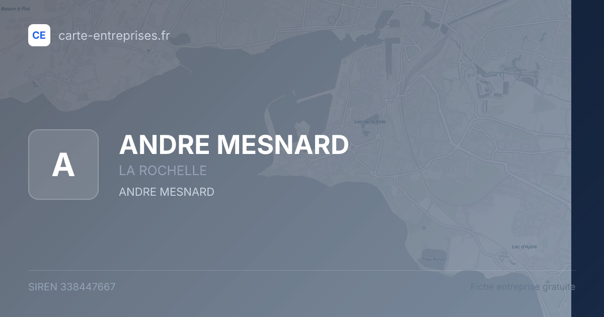 ANDRE MESNARD — 338447667 — fiche entreprise