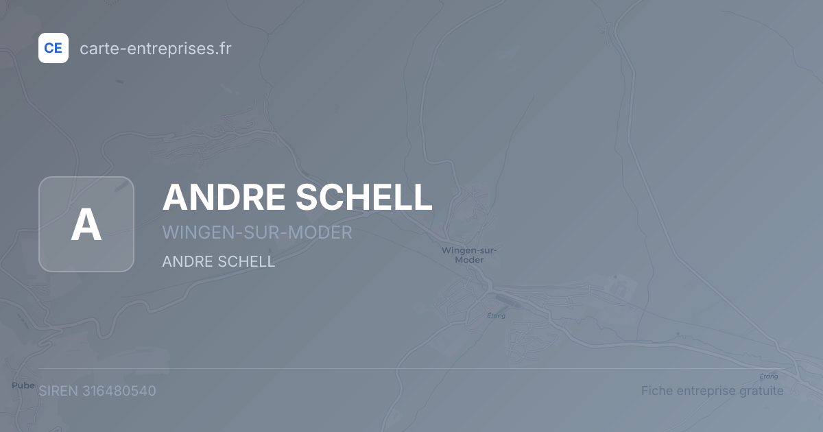 ANDRE SCHELL — 316480540 — fiche entreprise
