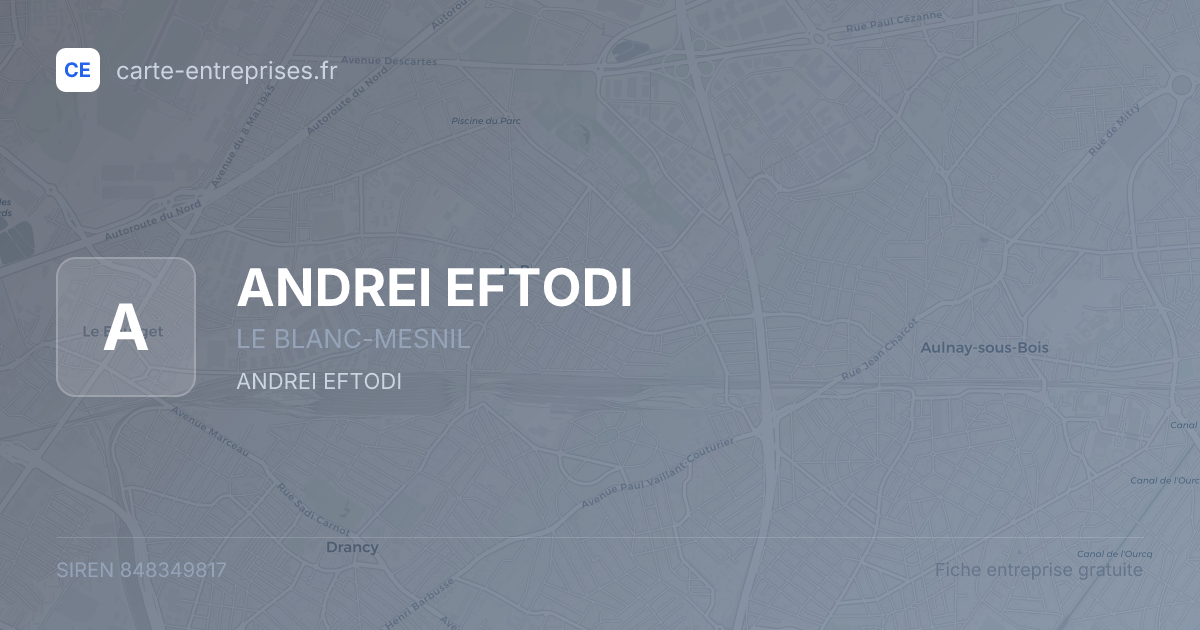 ANDREI EFTODI — 848349817 — fiche entreprise
