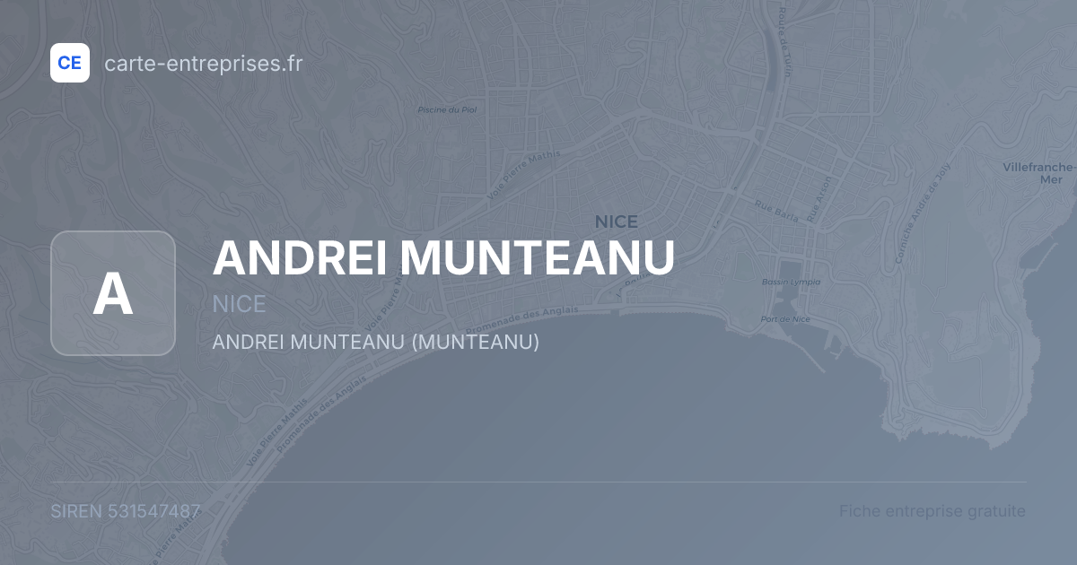 ANDREI MUNTEANU — 531547487 — fiche entreprise