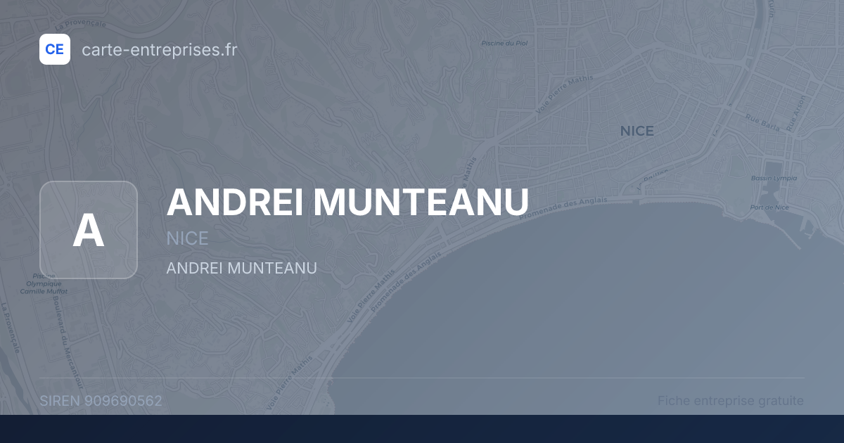 ANDREI MUNTEANU — 909690562 — fiche entreprise