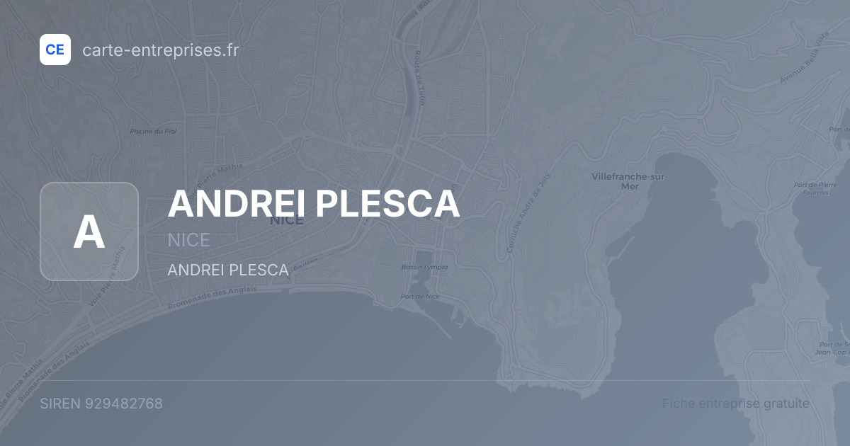 ANDREI PLESCA — 929482768 — fiche entreprise