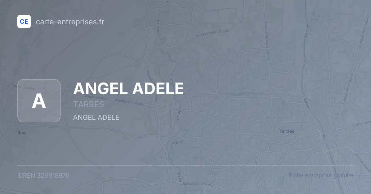 ANGEL ADELE — 326918976 — fiche entreprise