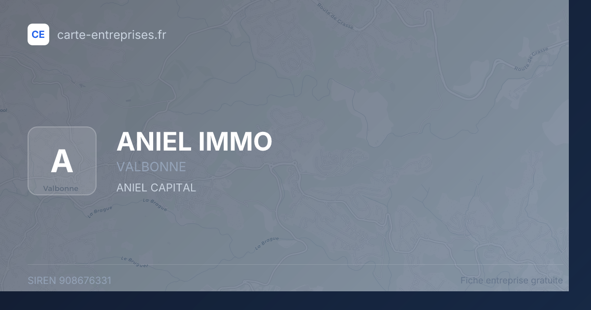 ANIEL IMMO — 908676331 — fiche entreprise